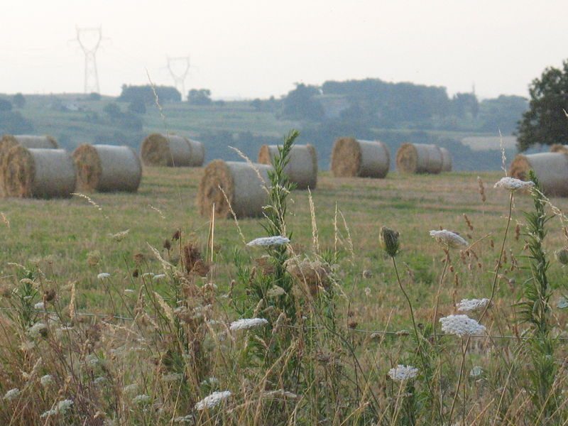 Le Serre du Puy