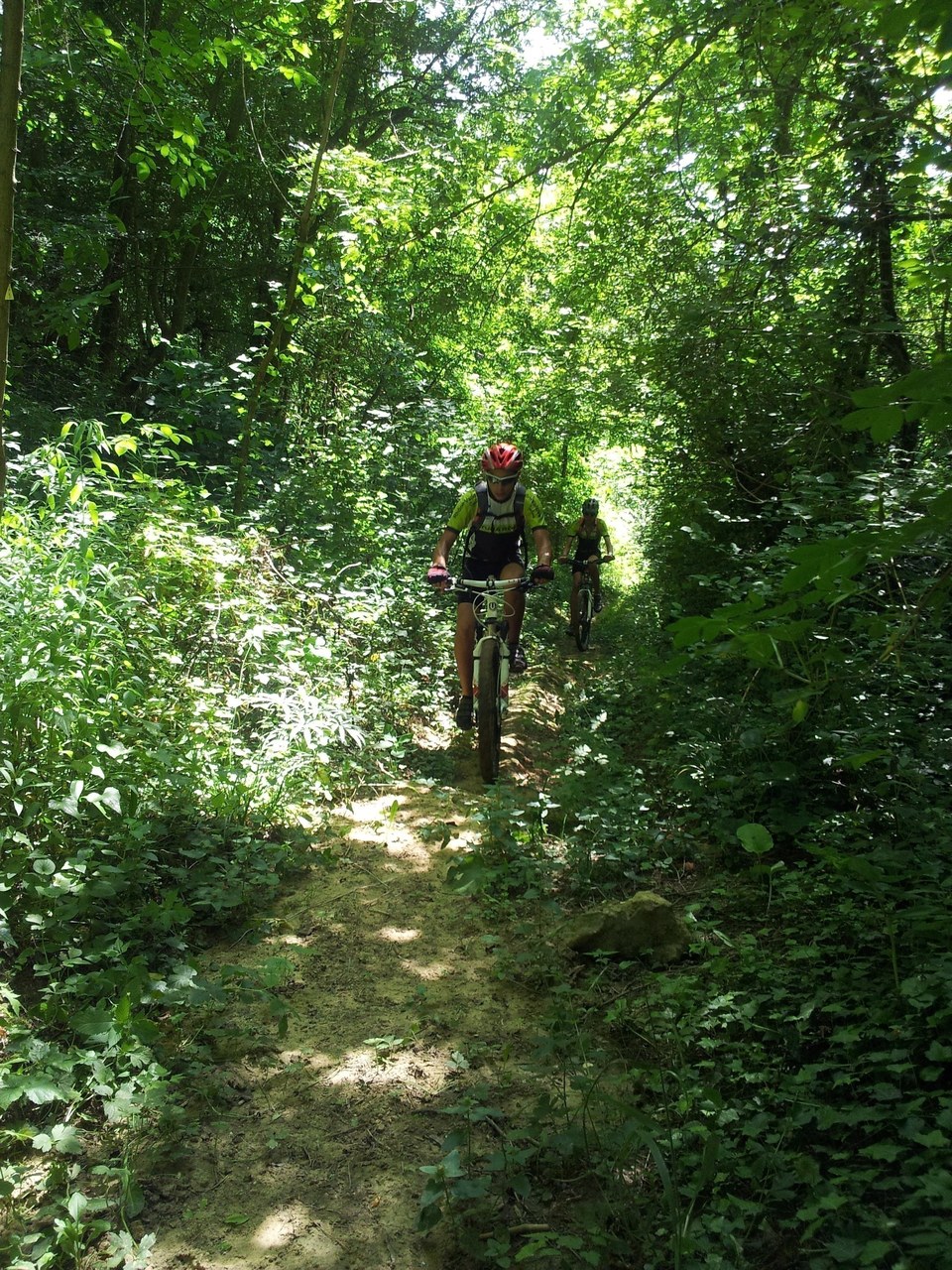 La combe Oternaud et le Bois de Sizay