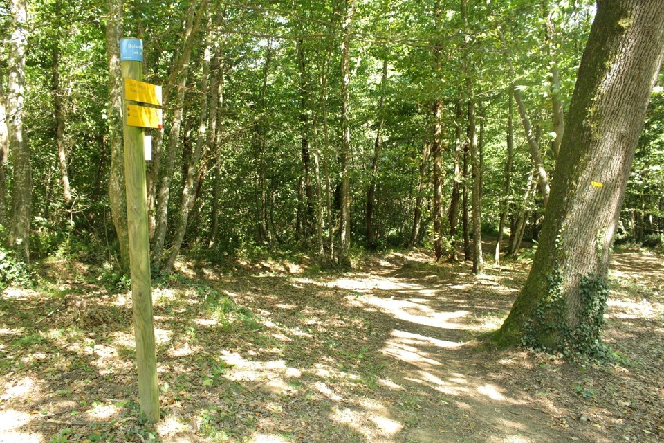 Le bois de la Garde