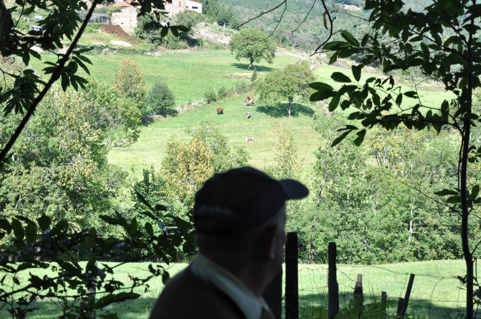 La Daronne