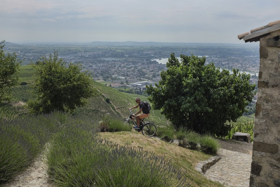 Tour de Pays VTT de la Drôme des Collines - Etape 1 : Tain l'Hermitage - Peyrins
