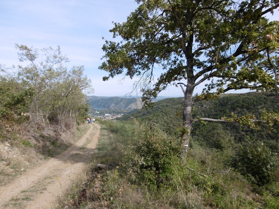 Chemins panoramiques