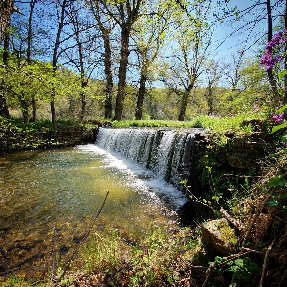 Entre Duzon et Ormèze