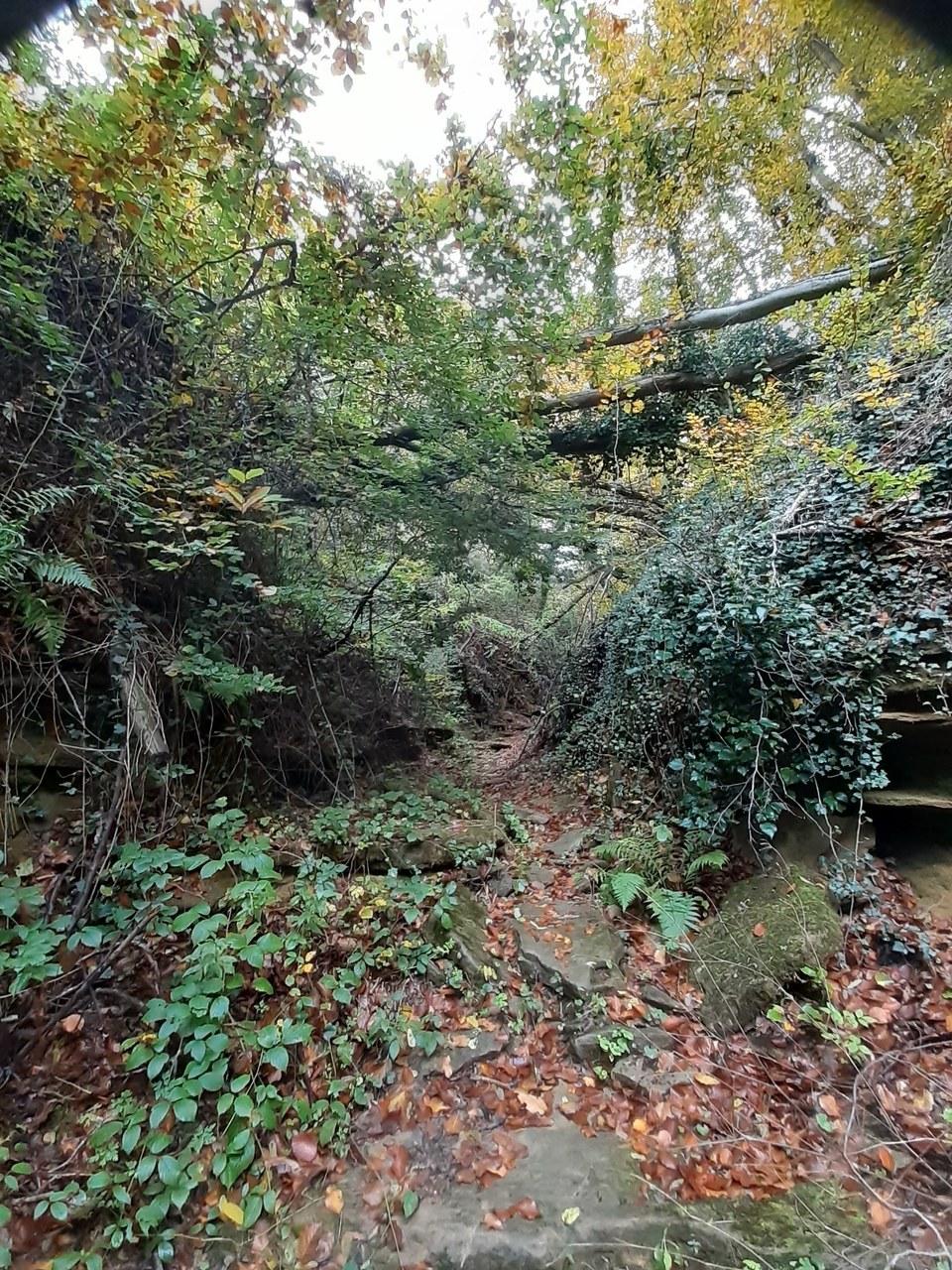 Combe de Chaloray