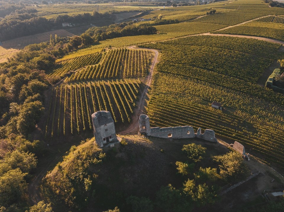Crozes-Hermitage - Sentier oenotouristique - Détours en vignes