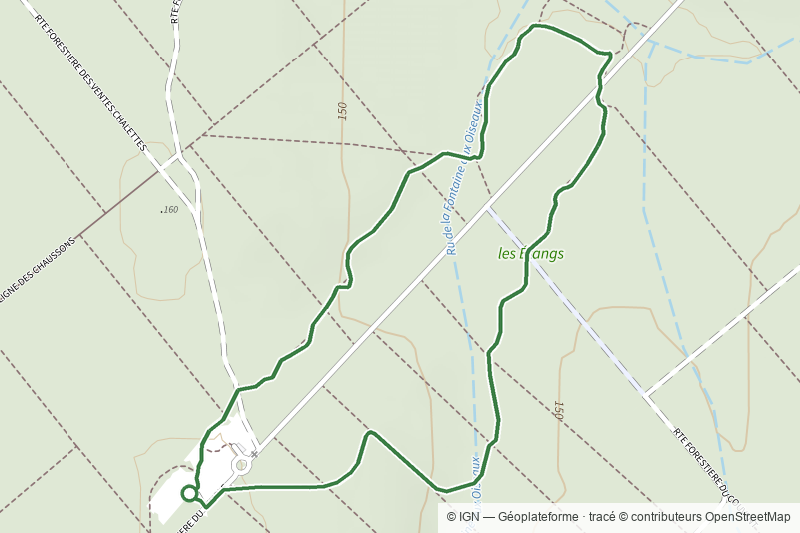 Sur les Traces des Salamandres