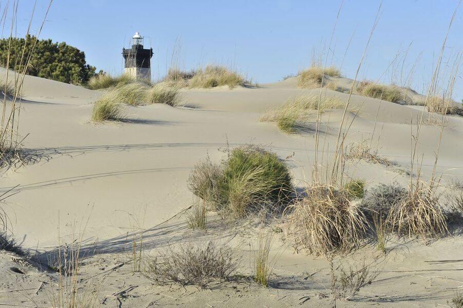 Plage et phare de l'Espiguette
