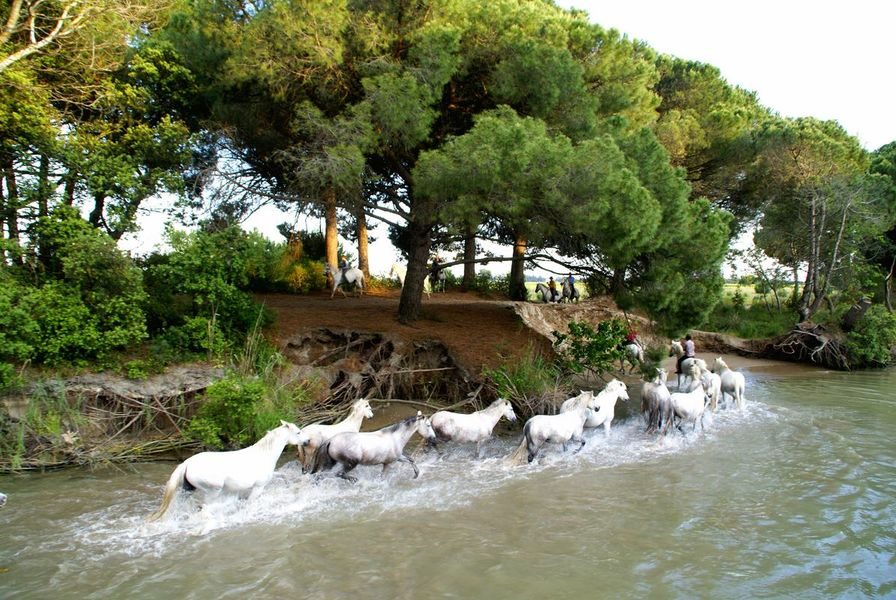 Gard Tourisme - ADRT