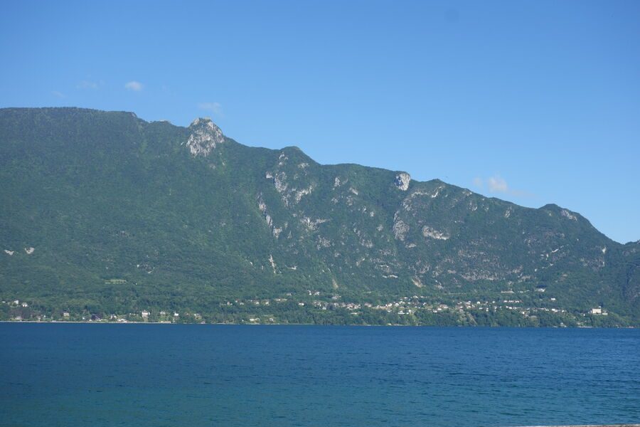 la dent du chat