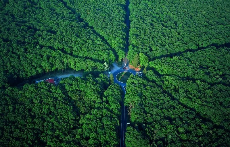 Vue aérienne de la Forêt de Tronçais