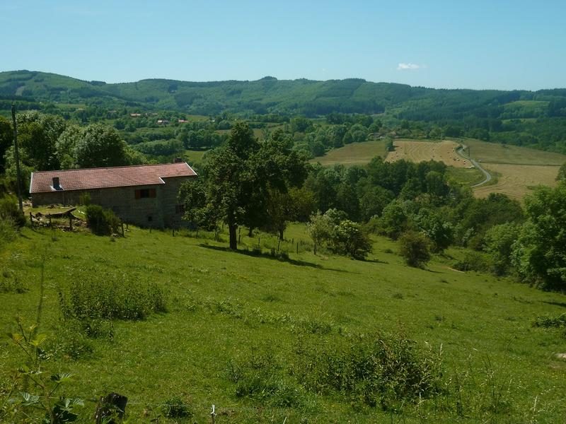 Vue sur la Montagne bourbonnaise