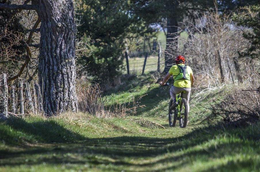 Le bois de Fontoune