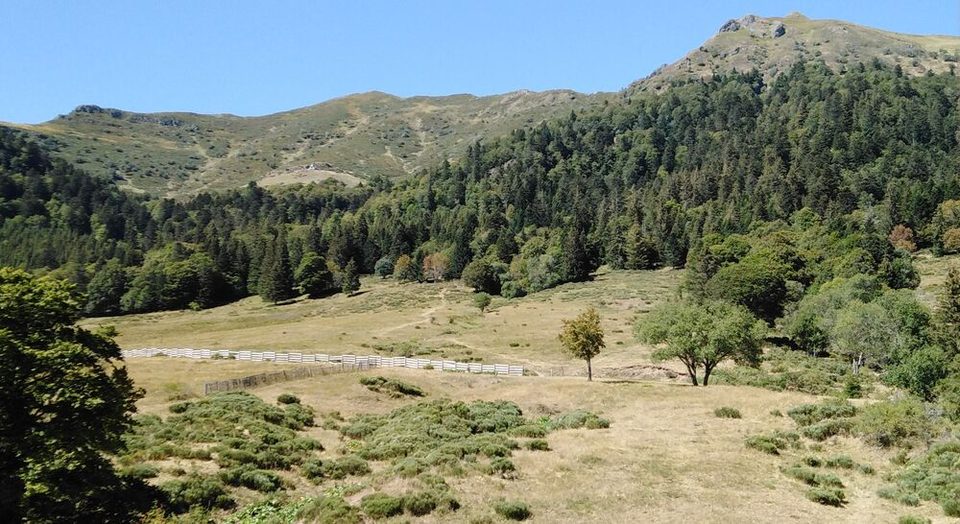 Font d'Alagnon