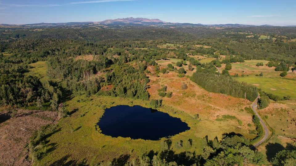 Tourbière de la Pignole en été