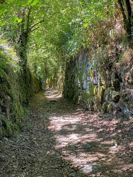 Chemin bordé de murets à Antignac