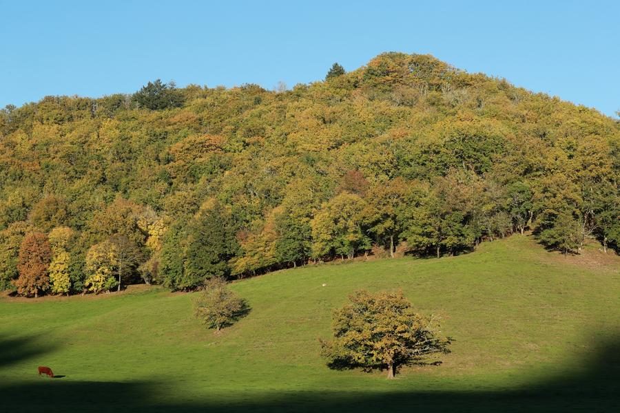 Paysage autour d'Ydes-Bourg