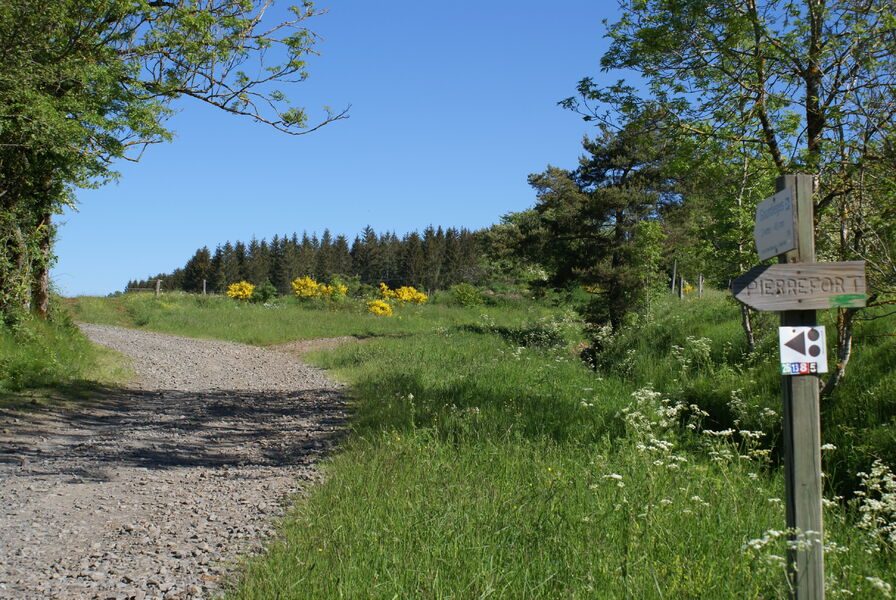 Circuit VTT n°13 : Entre Vezou et Truyère