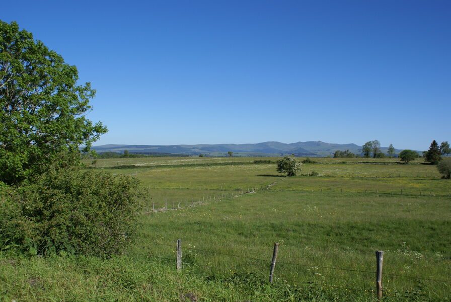 Vue sur le Monts du Cantal