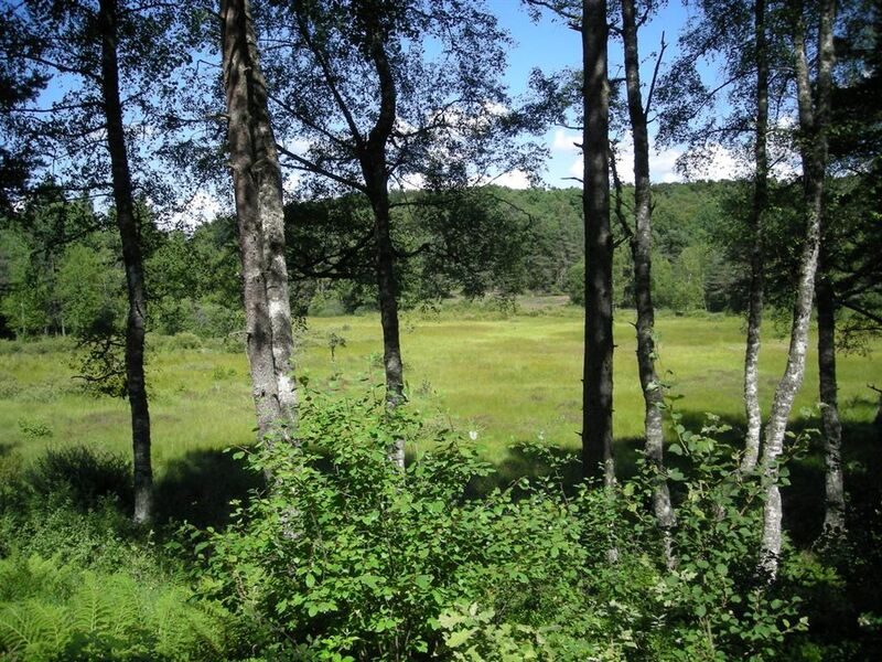 Circuit VTT n°16 : Aux portes de l’Aubrac