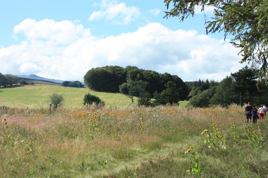 Paysages autour Cézens