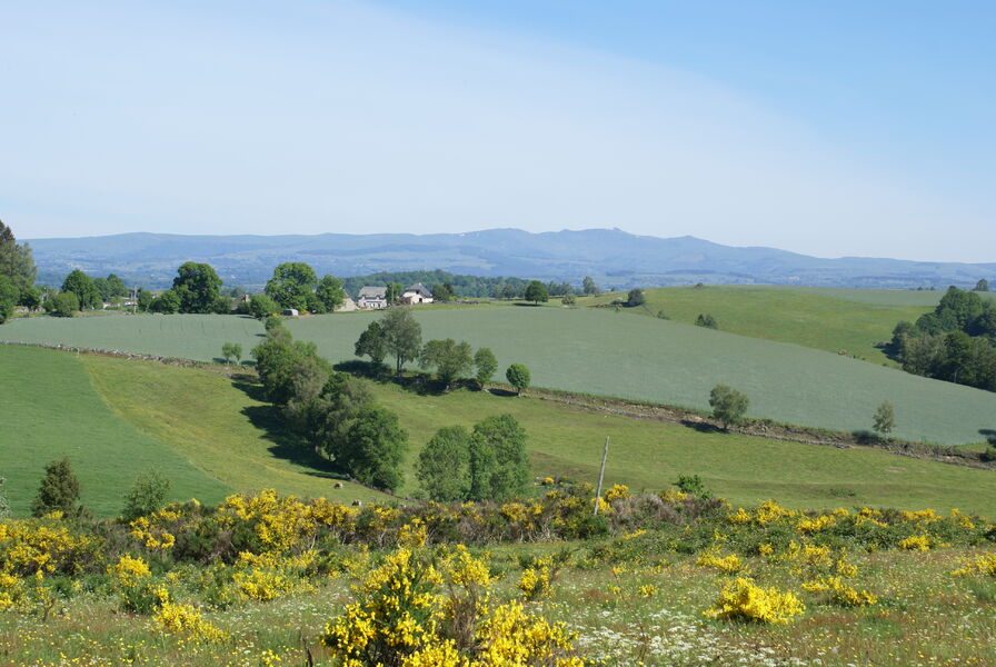 Vue sur les Monts du Cantal