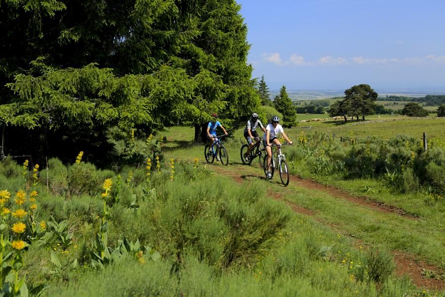 Circuit VTT n°30 : Le Chemin de la Narse de Nouvialle