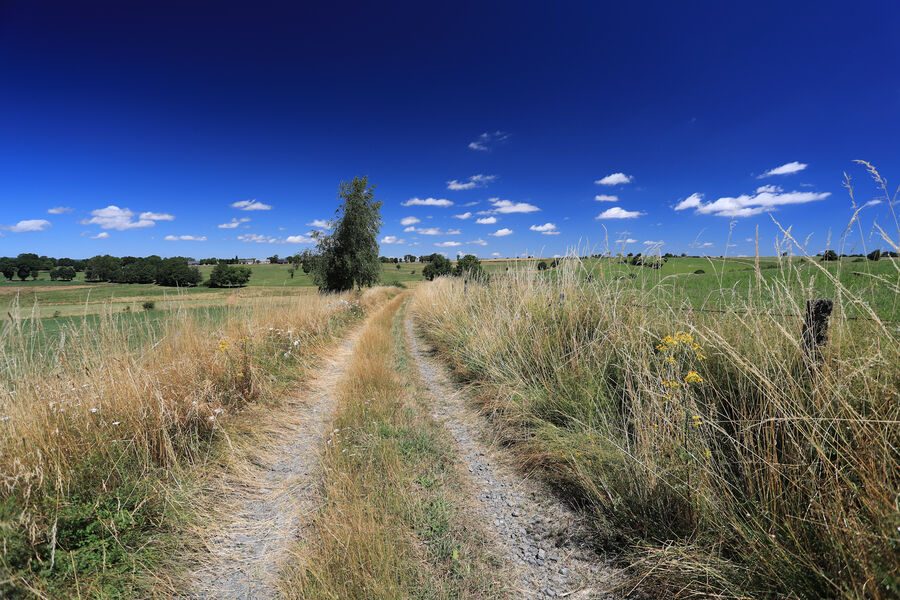 Circuit VTT n°32 : Vernuéjols