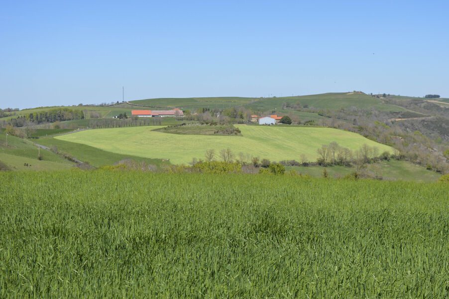 Saint-Poncy