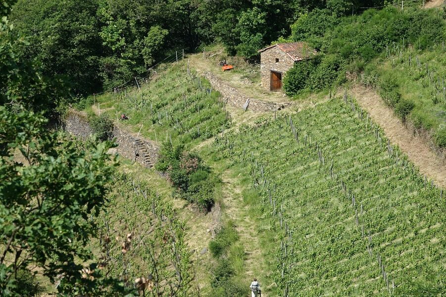 Palhàs de Molompize