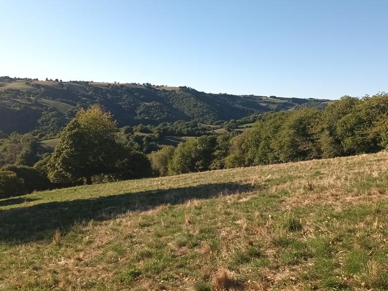 Vallée de la Rance