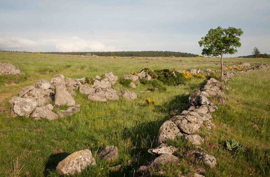 Le plateau de l’Artense (N°3) - Cyclo