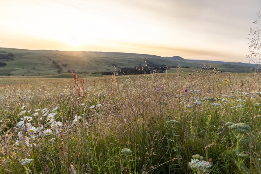 Le Haut Cantal - Cyclo