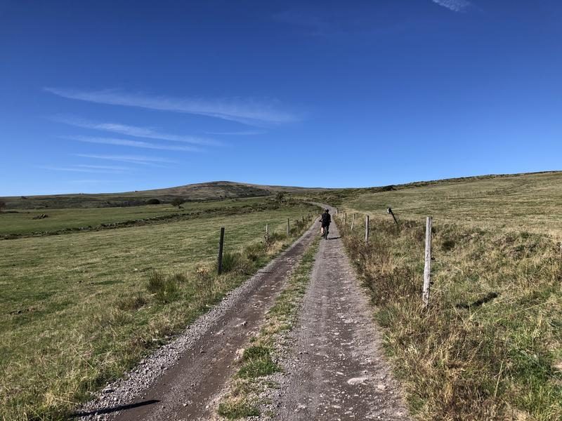 En approche de Rissergues , vestiges d'un village de l'an mil - Malbo