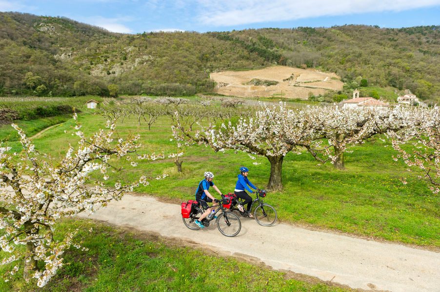 ViaRhôna aux alentours de Tournon