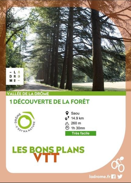 Découverte de la forêt