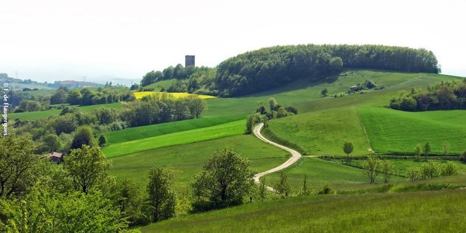Les collines de sable