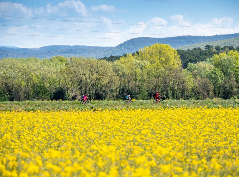 La plaine des Sauzets