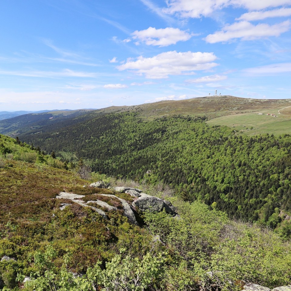 La vallée du Fossat
