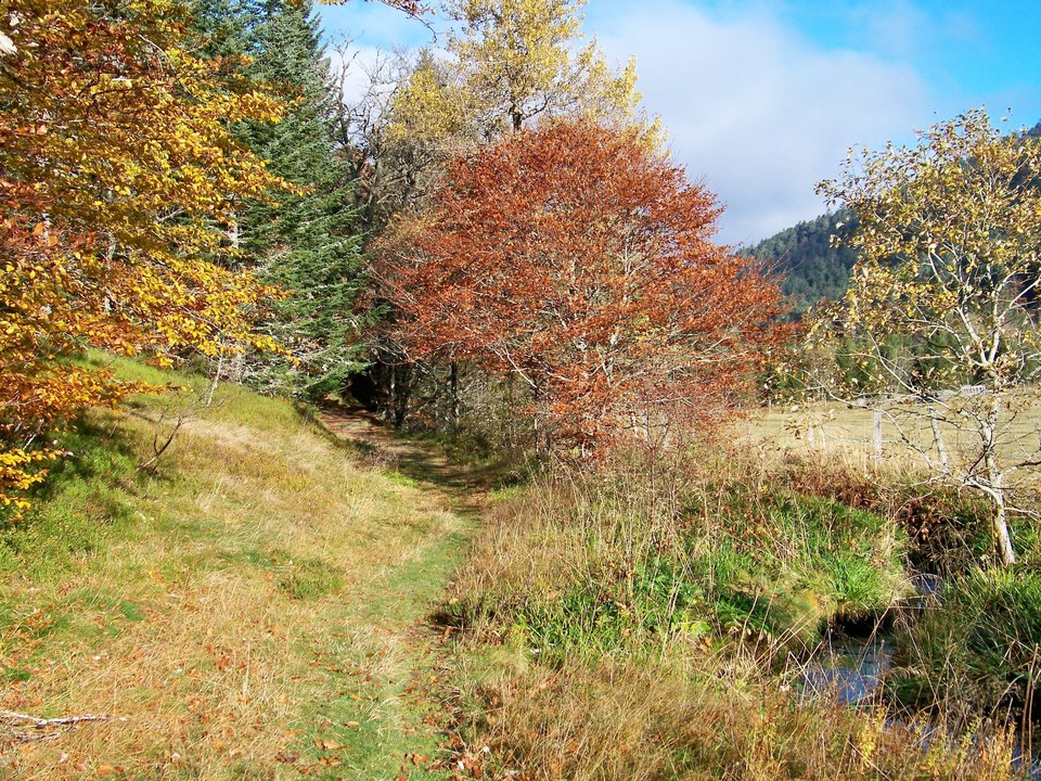 Vallée du Fossat