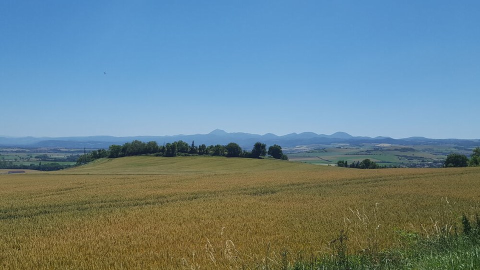 Panorama