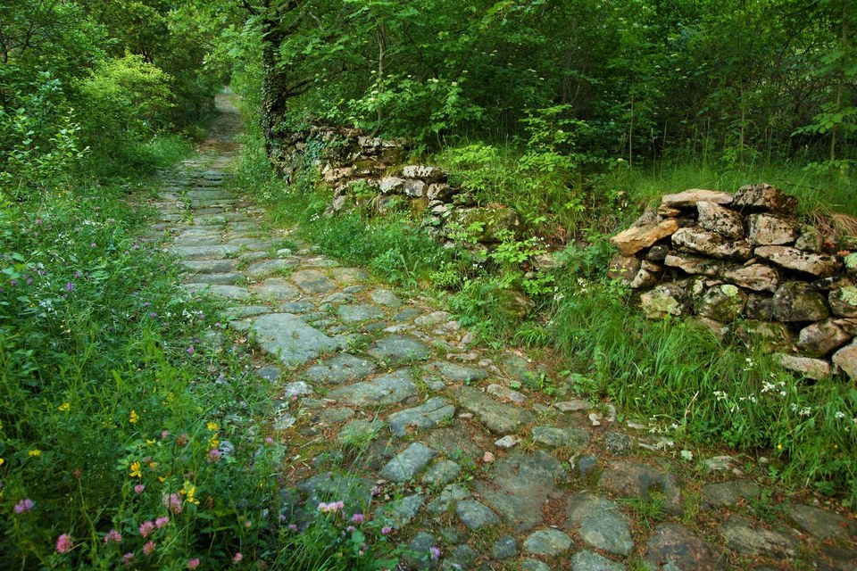13-Montagne d'Outre - Mercuer