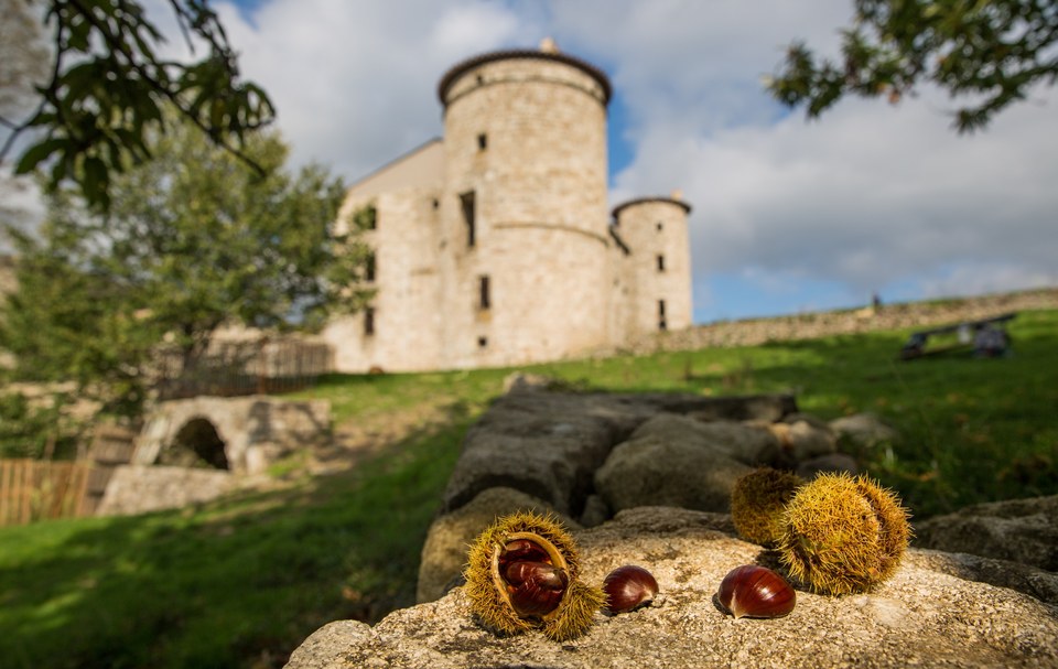 25-Le château de Craux - Antraigues