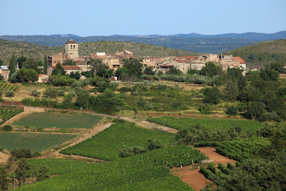 Village de Vinezac et vignoble AOC