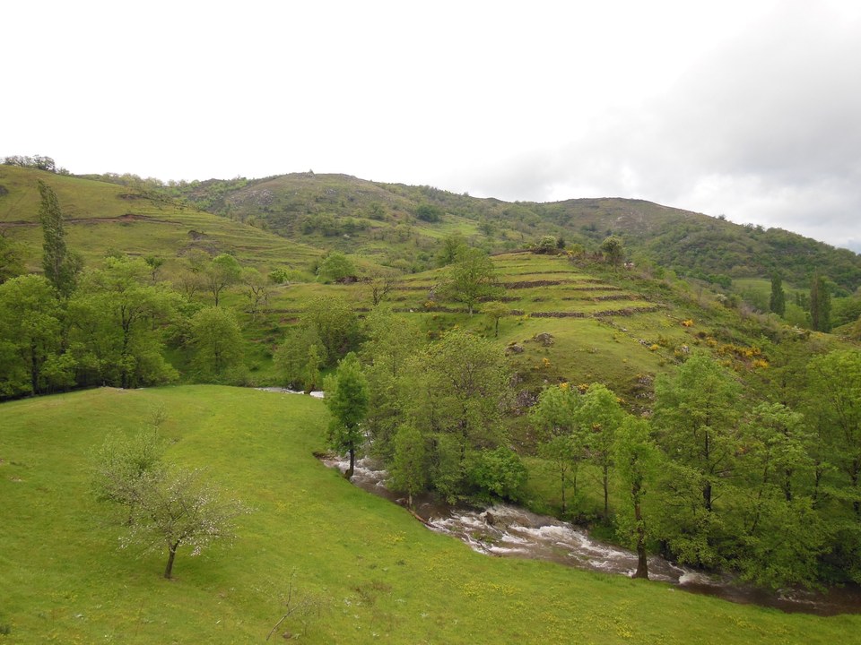 Le Sandron au Bouchet