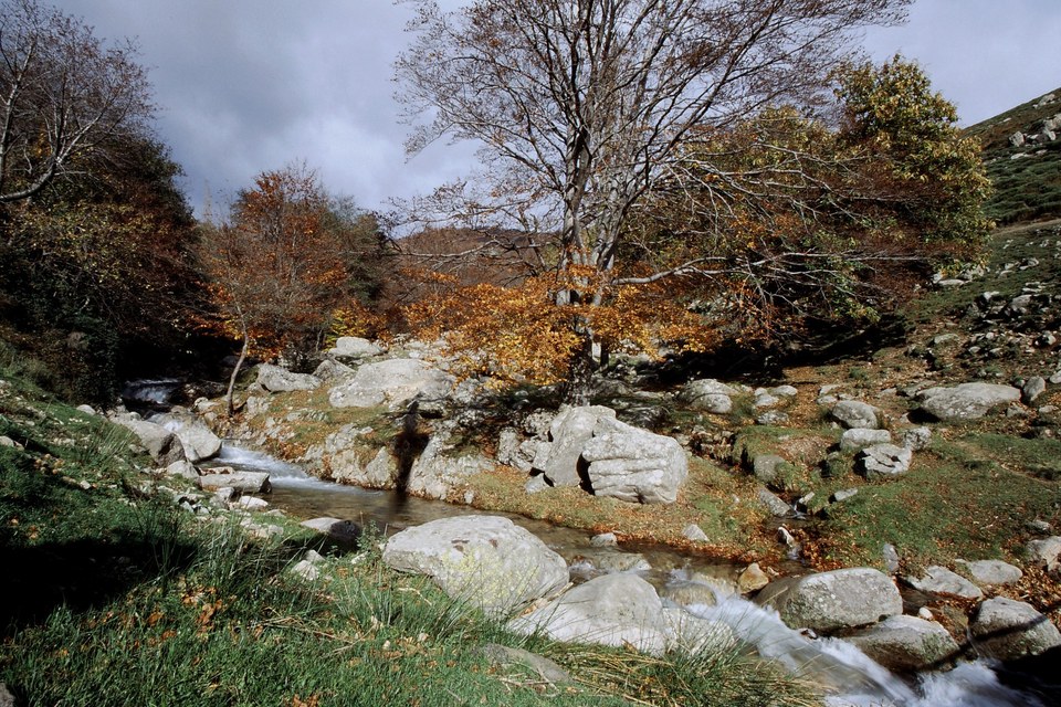 La rivière Bise en Automne