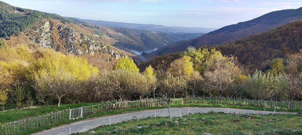 Vue automnale depuis les Champeaux en direction de l'est