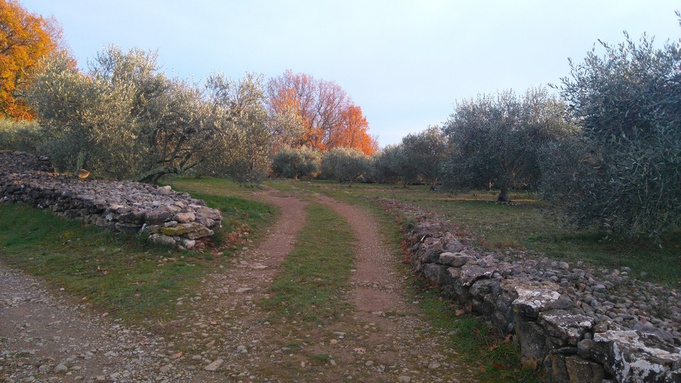 8-Le Tinal et Chastrenas - Lachapelle-sous-Aubenas