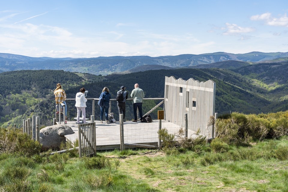A la découverte des rapaces de Montselgues