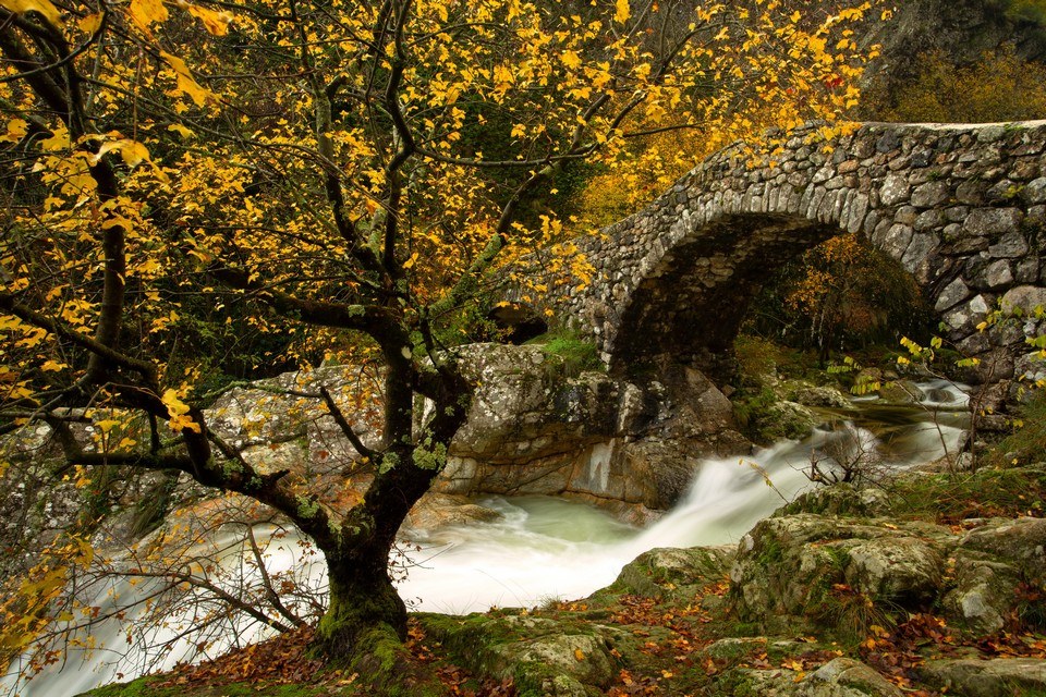 Au cœur des orgues basaltiques de Jaujac