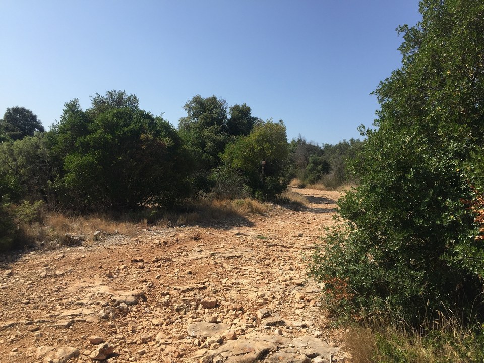 Le chemin à travers la garrigue